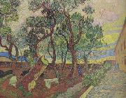 Vincent Van Gogh The Garden of Saint-Paul Hospital (nn04) oil